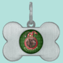 Christmas - Deck the Halls - Setters pet tags