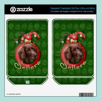 Christmas - Deck the Halls - Setters skins