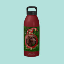 Christmas - Deck the Halls - Setters water bottles