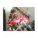 Christmas Decorations t-shirts