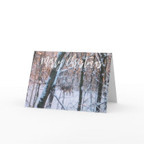 Christmas Deer cards by samack Christmas Deer cards