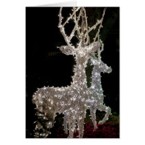 Christmas Deer cards