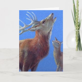 Christmas deer fine art card