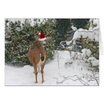 Christmas Deer Greeting Cards