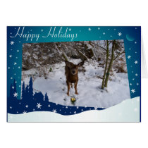 Christmas Deer cards