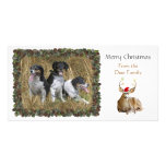 Christmas Deer Photo Card photo cards