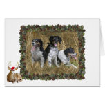 Christmas Deer Photo Greeting Card cards