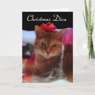 Christmas Diva Cat Photography card