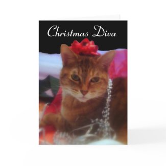 Christmas Diva Cat Photography card