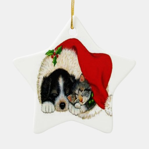 Christmas Dog and Cat Ornament Zazzle
