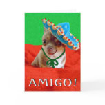 christmas dog
