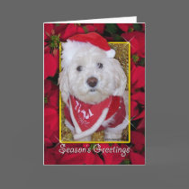 Christmas Dog cards by ironydesign Christmas Dog cards