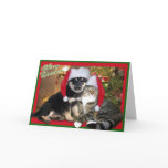 Christmas Dog & Cat cards
