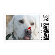 Christmas Dog Stamps