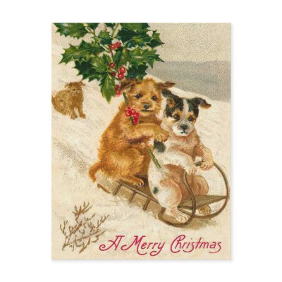 Christmas Dog Sled postcard