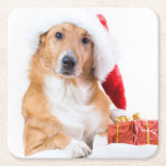 Christmas dog with antler and colorful gifts square paper coaster