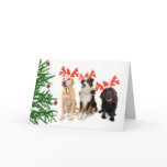 Christmas Dogs cards
