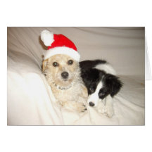 christmas dogs card
