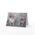 Christmas Dogs Greeting Card