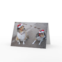 Christmas Dogs Greeting Card
