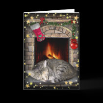 Christmas Dreams cards