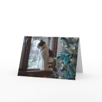 Christmas Dreams Cards