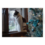 Christmas Dreams Cards