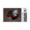 Christmas Dress Chi Dog postage