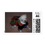 Christmas Dress Chi Dog postage
