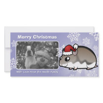 Christmas Dwarf Hamster Photo Cards