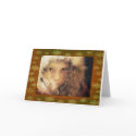 Christmas Elf cards by BlakkDesignz Christmas Elf cards