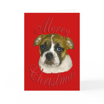 Christmas English Bulldog cards