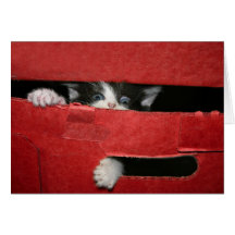 Christmas escape greeting card