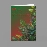 Christmas Ferns cards