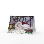 Christmas ferret