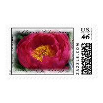 Christmas flower postage
