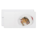Christmas friends photo cards by deemac1 Christmas friends photo cards