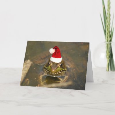 christmas_frog_card-p137463758950319232b2ico_400.jpg