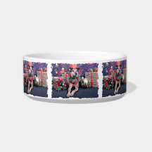 Christmas - German Shepherd X - Baylee Cat Water Bowl