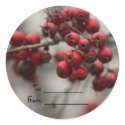 Christmas gift tag stickers