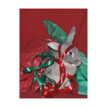 Christmas gift wrap frustration postcards by deemac1 Christmas gift wrap frustration postcards