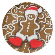 Christmas Gingerbread Santa Claus Plate