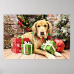 Christmas - Golden Retriever - Atticus Posters
