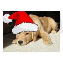 Christmas Golden Retriever Cards