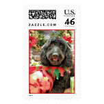 Christmas - GoldenDoodle - Pearl Jam Stamps
