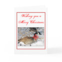 Christmas Goose cards by rockyj Christmas Goose cards