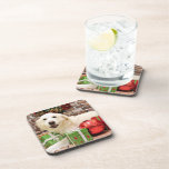 Christmas - Great Pyrenees Labrador X - Ginny Coasters
