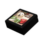 Christmas - Great Pyrenees Labrador X - Ginny Jewelry Box