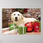 Christmas - Great Pyrenees Labrador X - Ginny Posters