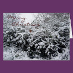 Christmas Greeting Card. cards